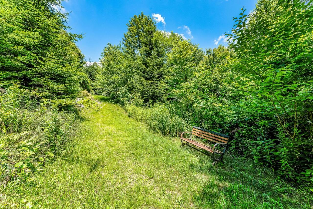 Skyleaf Retreat Apartman Sugar Mountain Kültér fotó